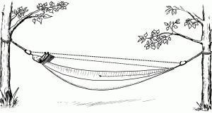 bushbed mosquito net 3